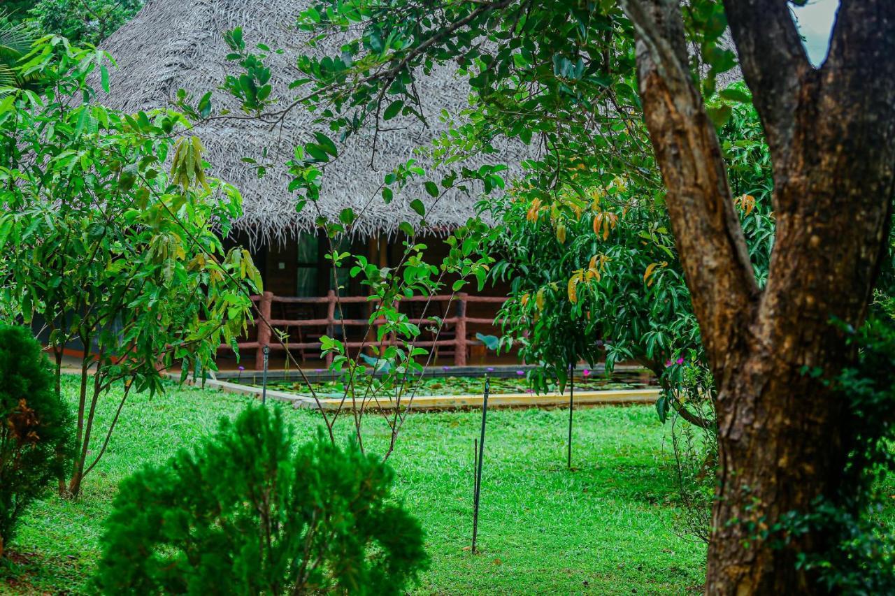 Sigiriya Water Cottage Exterior foto